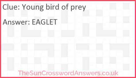 young birds of prey crossword clue